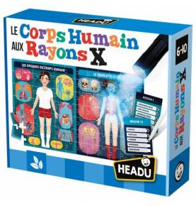 Le Corps Humain aux Rayons X