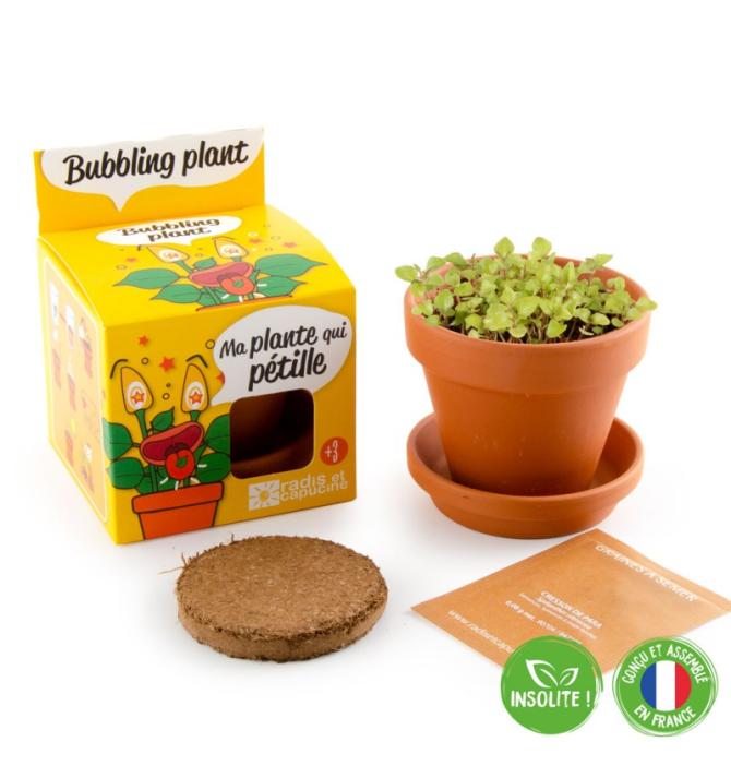 Plante qui pétille - Kit plantation pot 8cm Plante qui pétille - Kit plantation pot 8cm