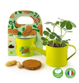 Arrosoir vert - Cacahuètes à planter