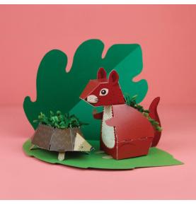 Jardin pop up - Ecureuil et Hérisson