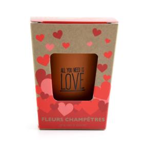 Fleurs Champêtres - Kit Message All you need is love