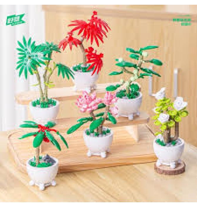 Plante en Pot à construire