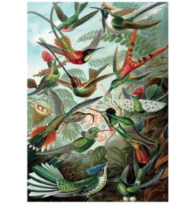 Puzzle Haeckel Colibris - 1000 pièces