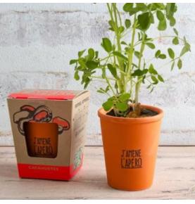 Cacahuètes - Kit Message J'amène l'Apéro