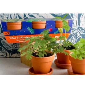 Trio 3 Plantes Magiques