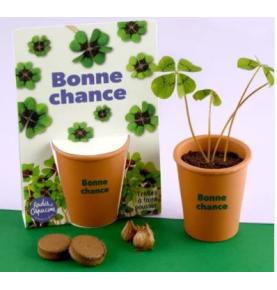 Trèfle à 4 feuilles - Kit Message Bonne Chance